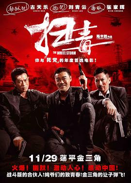 2018动作片《扫毒》迅雷下载_中文完整版_百度云网盘720P|1080P资源