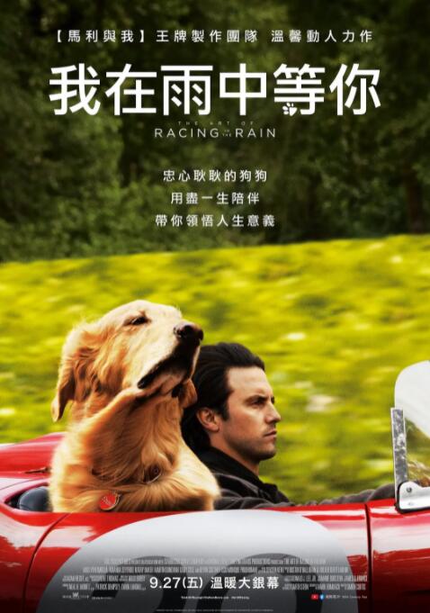 2018喜剧片《我在雨中等你》迅雷下载_中文完整版_百度云网盘720P|1080P资源