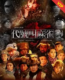 2018国产剧《代号叫麻雀》迅雷下载_中文完整版_百度云网盘720P|1080P资源