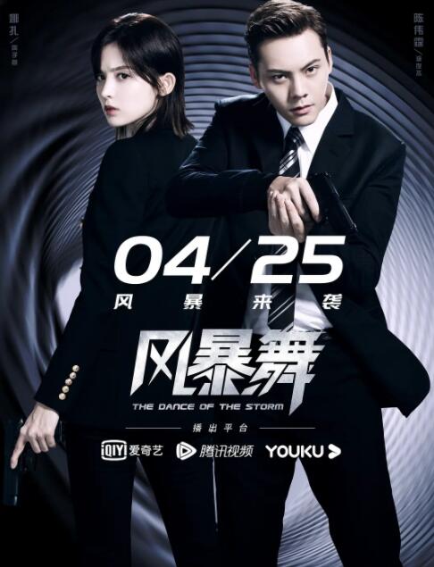 2018国产剧《风暴舞》迅雷下载_中文完整版_百度云网盘720P|1080P资源