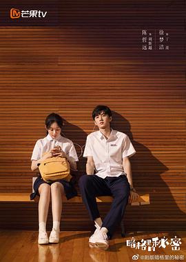 2018国产剧《暗格里的秘密》迅雷下载_中文完整版_百度云网盘720P|1080P资源