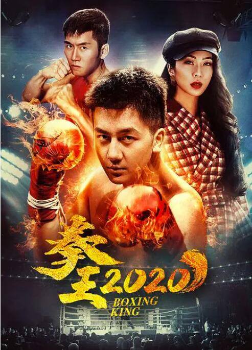 2018动作片《拳王2020》迅雷下载_中文完整版_百度云网盘720P|1080P资源