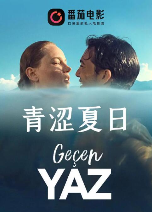 2018爱情片《青涩夏日》迅雷下载_中文完整版_百度云网盘720P|1080P资源