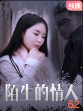 2018剧情片《陌生的情人》迅雷下载_中文完整版_百度云网盘720P|1080P资源