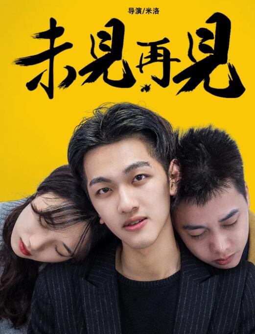 2018爱情片《未见再见》迅雷下载_中文完整版_百度云网盘720P|1080P资源