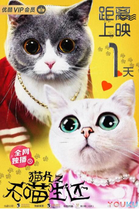 2018剧情片《猫片之无喵生还》迅雷下载_中文完整版_百度云网盘720P|1080P资源