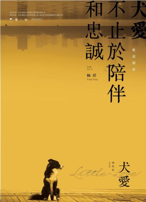 2018剧情片《犬爱》迅雷下载_中文完整版_百度云网盘720P|1080P资源