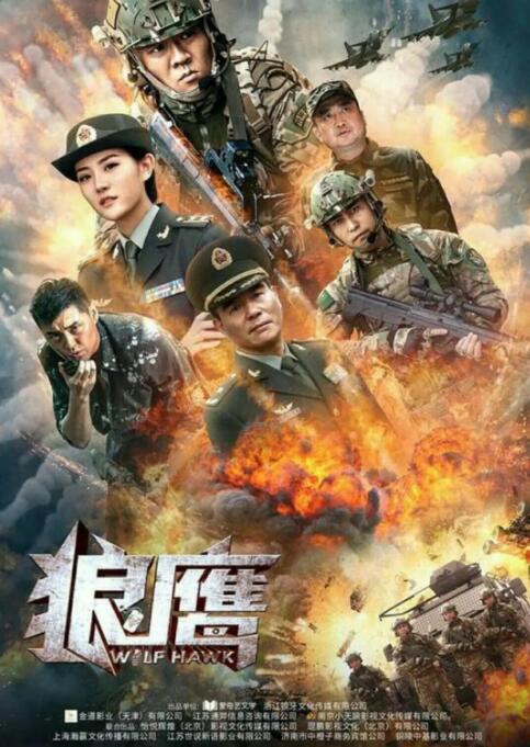 2018动作片《狼鹰》迅雷下载_中文完整版_百度云网盘720P|1080P资源