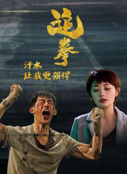 2018剧情片《追拳》迅雷下载_中文完整版_百度云网盘720P|1080P资源