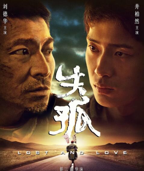 2018剧情片《失孤》迅雷下载_中文完整版_百度云网盘720P|1080P资源