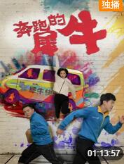 2018喜剧片《奔跑的犀牛》迅雷下载_中文完整版_百度云网盘720P|1080P资源