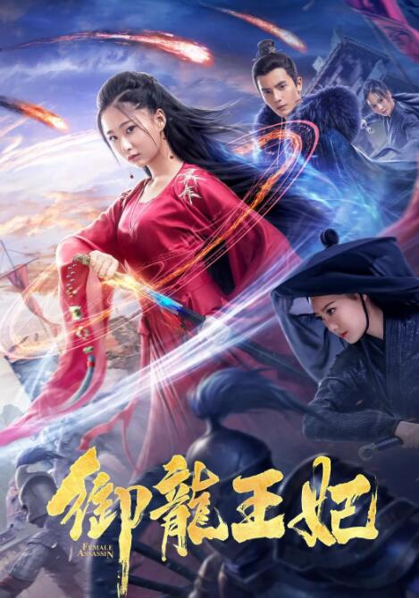 2018动作片《御龙王妃》迅雷下载_中文完整版_百度云网盘720P|1080P资源