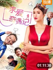 2018喜剧片《求爱奇遇记》迅雷下载_中文完整版_百度云网盘720P|1080P资源