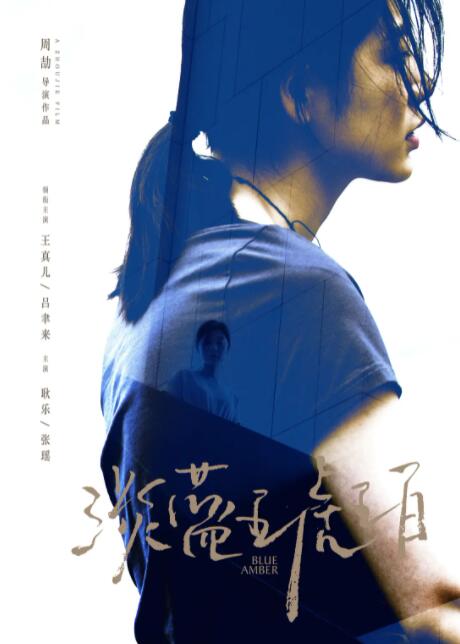 2018剧情片《淡蓝琥珀》迅雷下载_中文完整版_百度云网盘720P|1080P资源