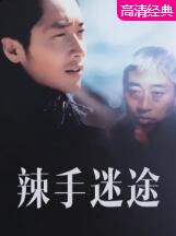 2018剧情片《辣手迷途》迅雷下载_中文完整版_百度云网盘720P|1080P资源