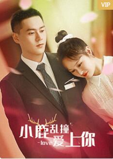 2018爱情片《小鹿乱撞爱上你》迅雷下载_中文完整版_百度云网盘720P|1080P资源