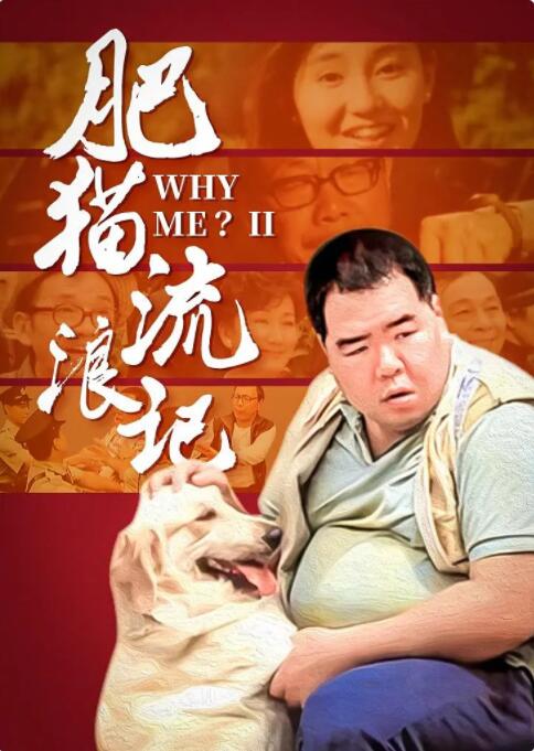 2018剧情片《肥猫流浪记》迅雷下载_中文完整版_百度云网盘720P|1080P资源