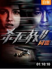 2018动作片《杀无赦2：Ⅱ同盟》迅雷下载_中文完整版_百度云网盘720P|1080P资源