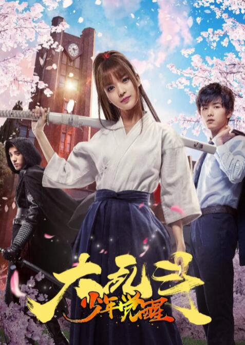 2018动作片《大乱斗之少年觉醒》迅雷下载_中文完整版_百度云网盘720P|1080P资源