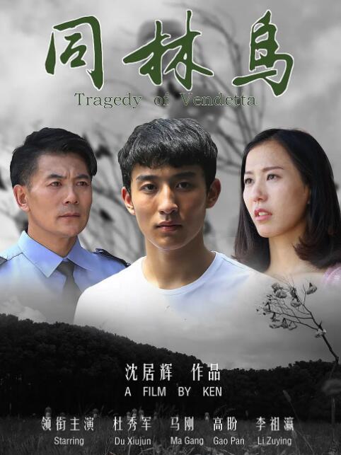 2018剧情片《同林鸟》迅雷下载_中文完整版_百度云网盘720P|1080P资源