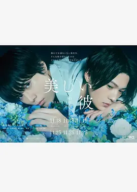 2018日剧《美丽的他》迅雷下载_中文完整版_百度云网盘720P|1080P资源