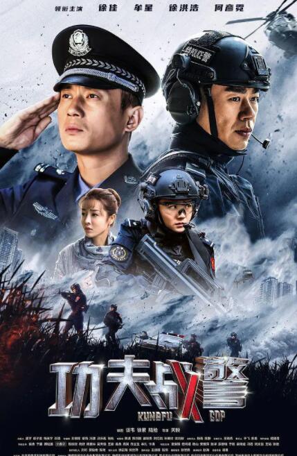 2018国产剧《功夫战警》迅雷下载_中文完整版_百度云网盘720P|1080P资源