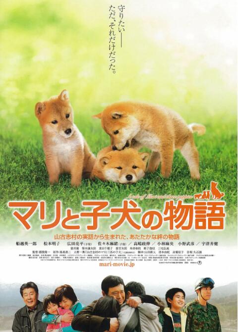 2018剧情片《爱犬的奇迹》迅雷下载_中文完整版_百度云网盘720P|1080P资源