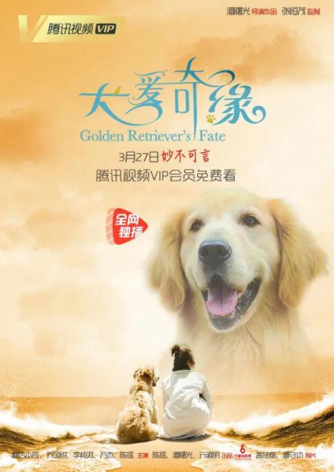 2018剧情片《犬爱奇缘》迅雷下载_中文完整版_百度云网盘720P|1080P资源