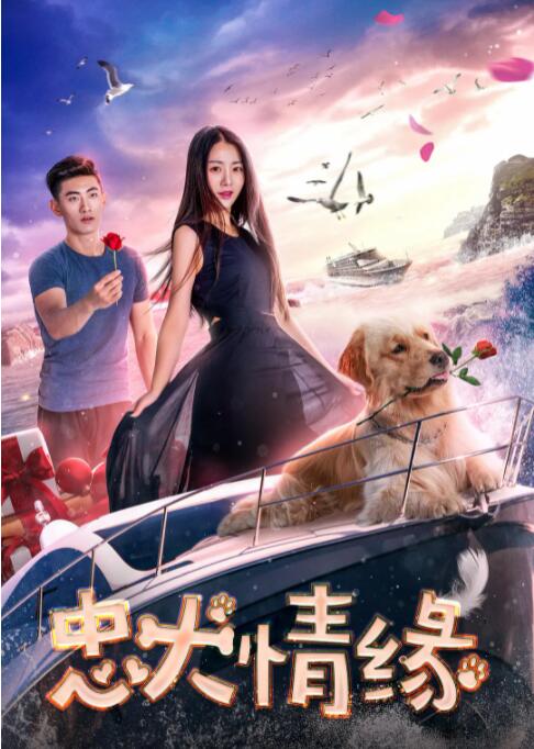 2018喜剧片《忠犬情缘》迅雷下载_中文完整版_百度云网盘720P|1080P资源