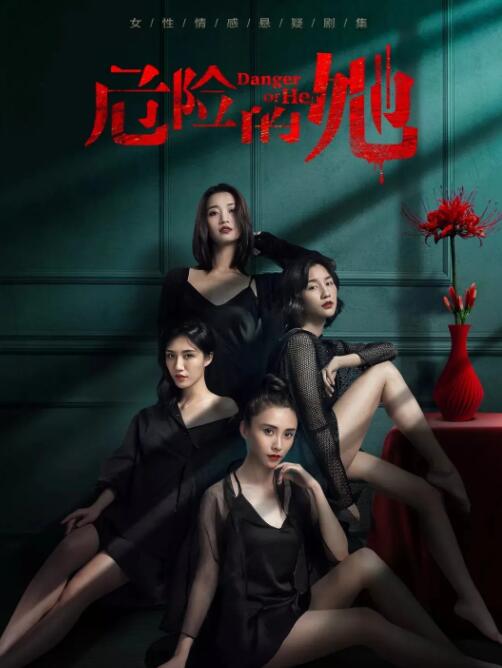 2018国产剧《危险的她》迅雷下载_中文完整版_百度云网盘720P|1080P资源