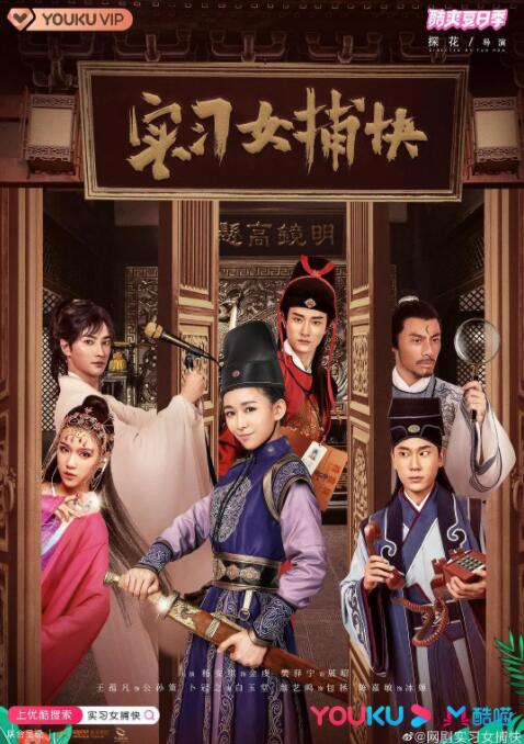 2018国产剧《实习女捕快》迅雷下载_中文完整版_百度云网盘720P|1080P资源