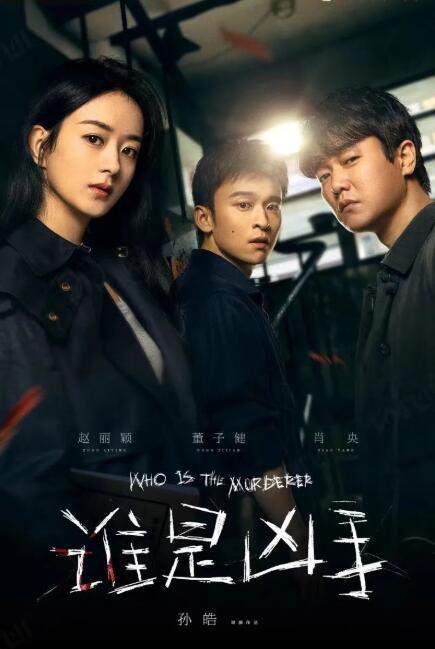 2018国产剧《谁是凶手》迅雷下载_中文完整版_百度云网盘720P|1080P资源