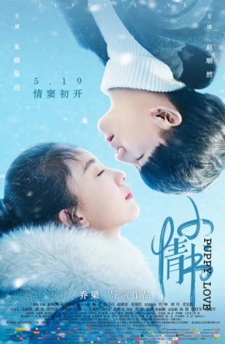 2018剧情片《小情书》迅雷下载_中文完整版_百度云网盘720P|1080P资源