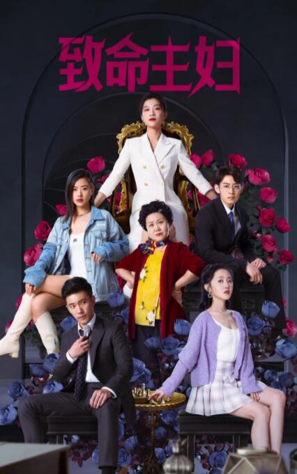 2018国产剧《致命主妇》迅雷下载_中文完整版_百度云网盘720P|1080P资源