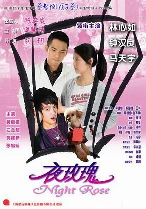 2018剧情片《夜玫瑰》迅雷下载_中文完整版_百度云网盘720P|1080P资源