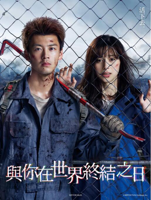 2018日剧《你与世界终结的日子》迅雷下载_中文完整版_百度云网盘720P|1080P资源