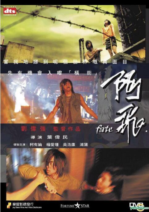 2018剧情片《阿飞》迅雷下载_中文完整版_百度云网盘720P|1080P资源