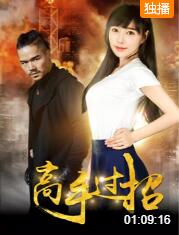 2018动作片《高手过招》迅雷下载_中文完整版_百度云网盘720P|1080P资源