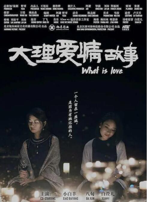 2018爱情片《大理爱情故事》迅雷下载_中文完整版_百度云网盘720P|1080P资源