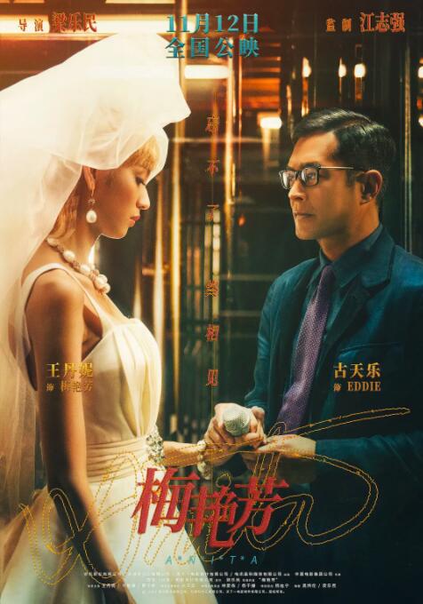 2018剧情片《梅艳芳》迅雷下载_中文完整版_百度云网盘720P|1080P资源