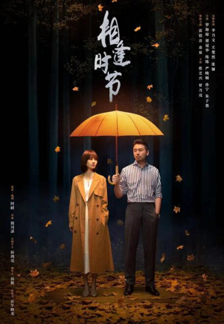 2018国产剧《相逢时节》迅雷下载_中文完整版_百度云网盘720P|1080P资源