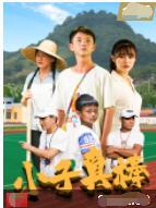 2018剧情片《小子真棒》迅雷下载_中文完整版_百度云网盘720P|1080P资源