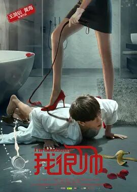 2018喜剧片《我很帅》迅雷下载_中文完整版_百度云网盘720P|1080P资源