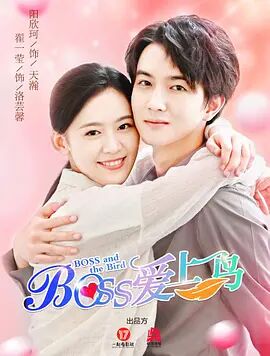 2018国产剧《Boss爱上鸟》迅雷下载_中文完整版_百度云网盘720P|1080P资源