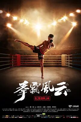 2018动作片《拳霸风云》迅雷下载_中文完整版_百度云网盘720P|1080P资源