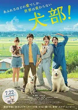 2018剧情片《犬部》迅雷下载_中文完整版_百度云网盘720P|1080P资源