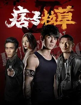 2018动作片《痞子校草2》迅雷下载_中文完整版_百度云网盘720P|1080P资源