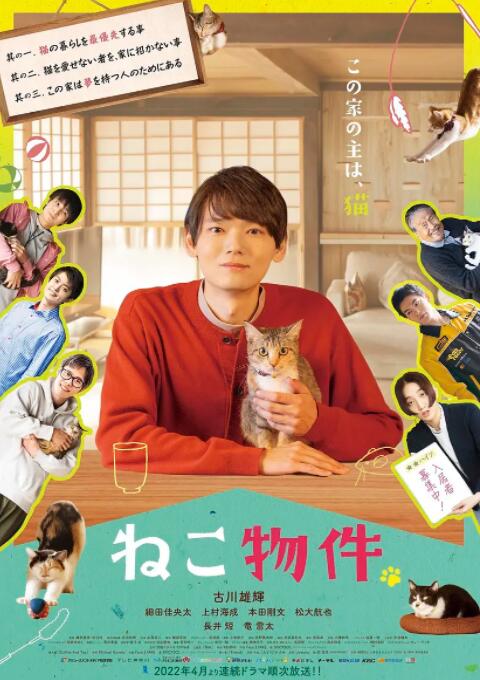 2018日剧《猫物件》迅雷下载_中文完整版_百度云网盘720P|1080P资源