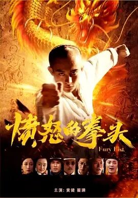 2018动作片《愤怒的拳头》迅雷下载_中文完整版_百度云网盘720P|1080P资源