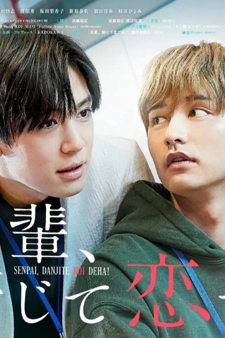 2018日剧《前辈，这不叫恋爱！》迅雷下载_中文完整版_百度云网盘720P|1080P资源